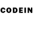 COCAIN Columbia MODERN SETTING