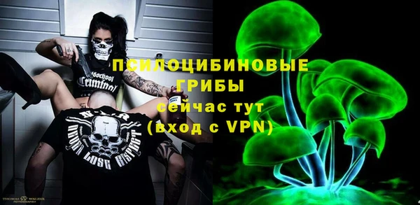 дживик Абинск