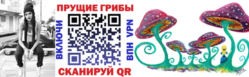 кракен сайт  Майский  Псилоцибиновые грибы Psilocybe  продажа наркотиков 